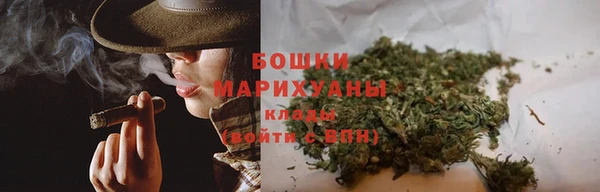 прущие грибы Белокуриха