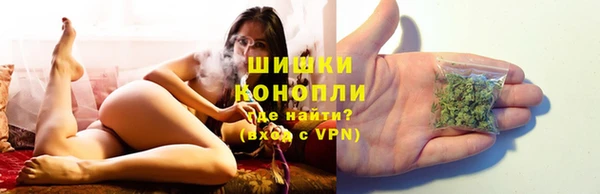 прущие грибы Белокуриха