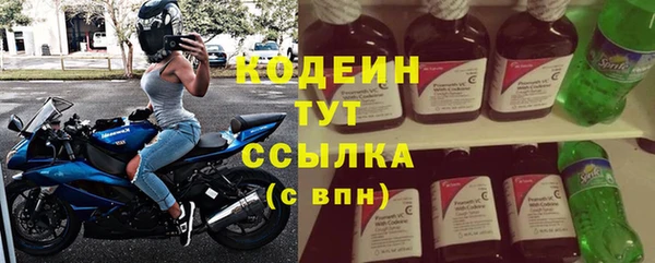 прущие грибы Белокуриха